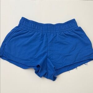 wild fable Royal Blue Elastic-Waist Athletic Shorts